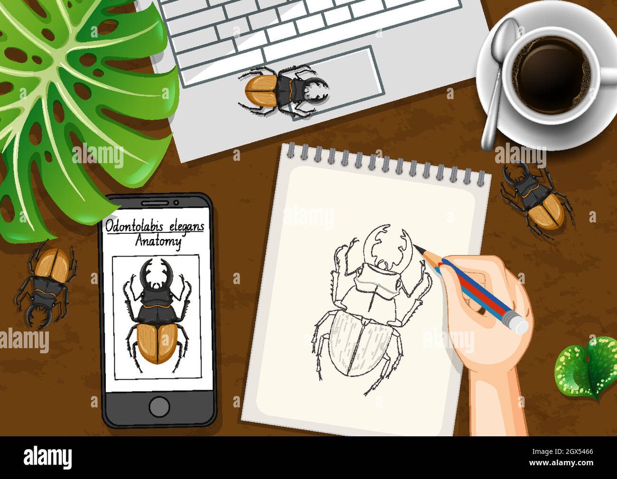 Top Rhode Island Cuisines Offer Ocean States Unforgettable Local Flavors